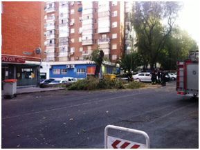FOTO11