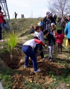 Arbolada parque Manolito gafotas