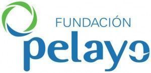 fundacion pelayo