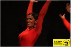Clases de iniciación sevillanas y flamenco (Copiar)