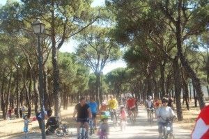 Fiesta de la Bici