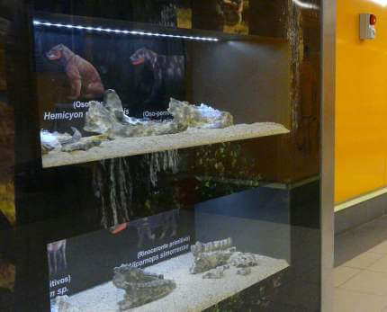 museo
