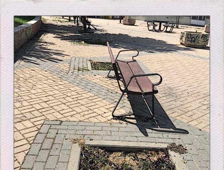 los arboles que se talan no se reponen en Carabanchel