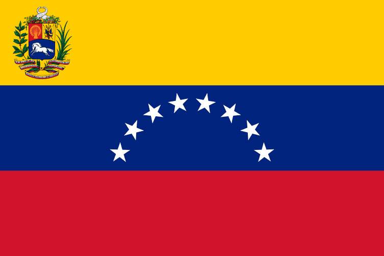 Venezuela y la guerrilla virtual
