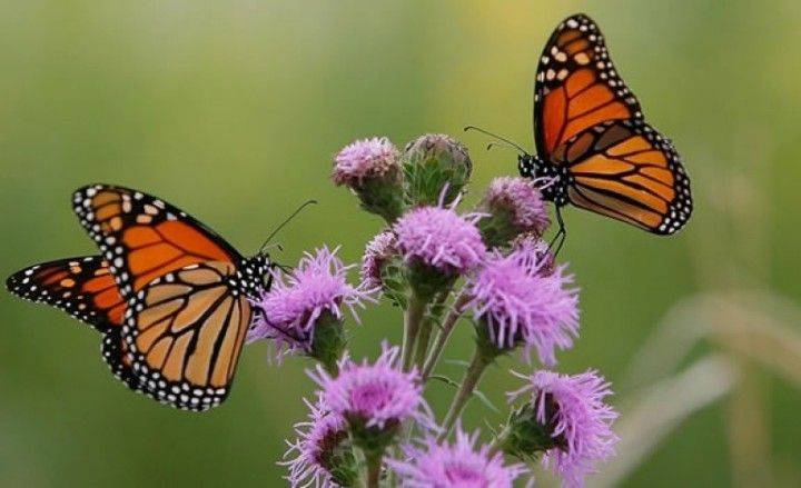 Cambiar , no es trasformar